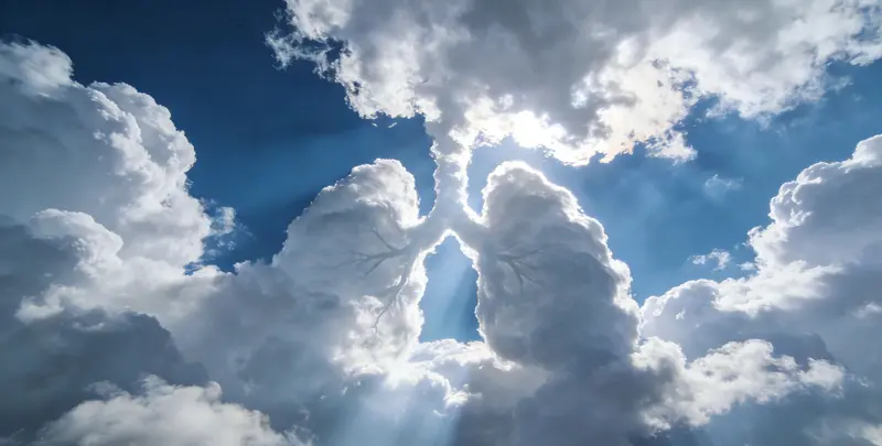 杭州肺癌120基因ctDNA突变检测(血液）图片1