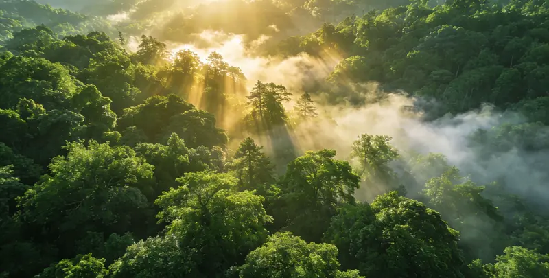 杭州肺癌（EGFR T790M)突变检测图片1